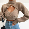 Camel Turtleneck Short Top Autumn New European And American Hollow Nightclub Sweater