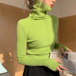 Women heaps collar Turtleneck Sweaters