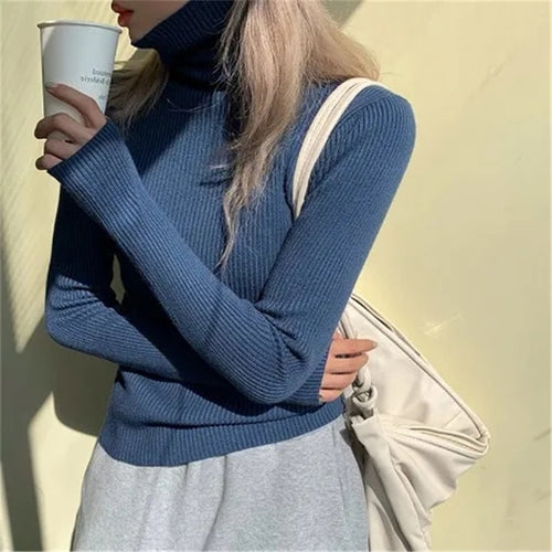 Women heaps collar Turtleneck Sweaters